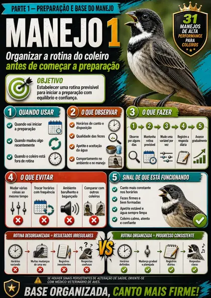 Amostra 1