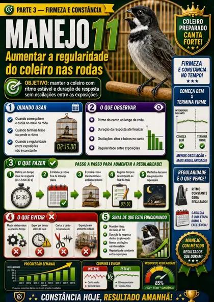 Amostra 3