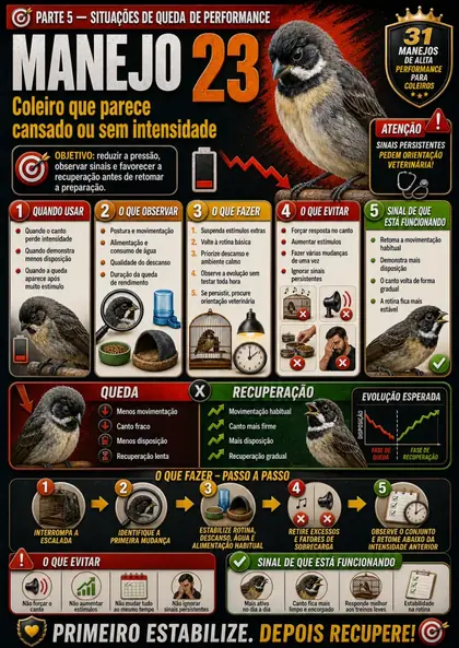 Amostra 6