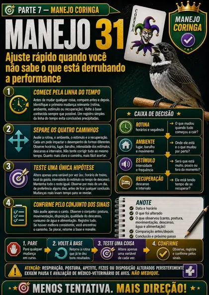Amostra 8